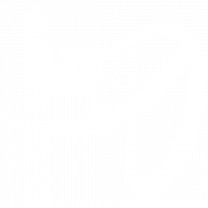 conie-Grunstein-Logo
